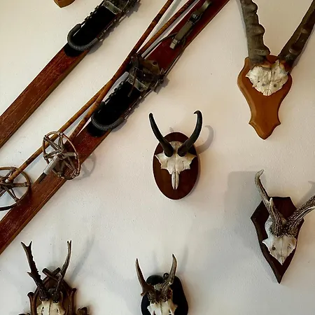 Διαμέρισμα Alpine Escape 4