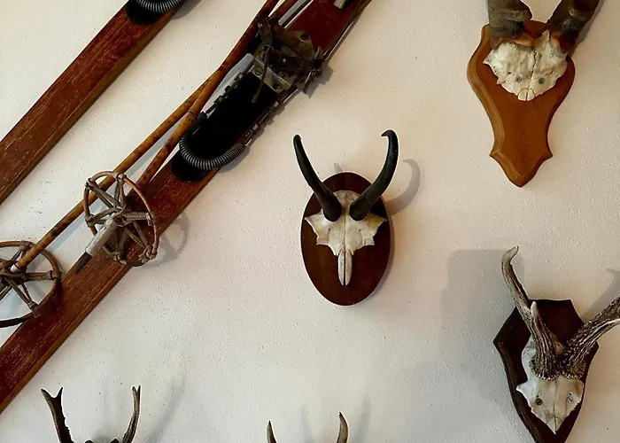 Appartement Alpine Escape 4